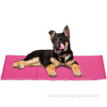 Cooling ice mat for dog